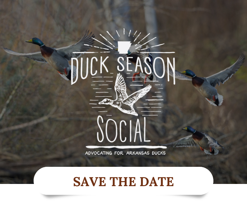 Dusk Season Social Save the Date